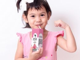 Santa Clara Lechita Sabor Helado De Fresa 180ml