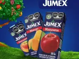 CAJA DE JUMEX MINIBRIK SURTIDO 24/237 ML.
