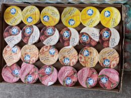 YOGHURT ALPURA SURTIDO 24/125 GRS (vasito)